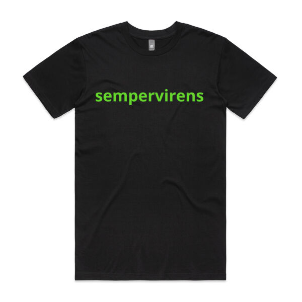Tee - sempervirens Thumbnail