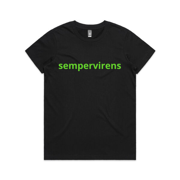 Tee - sempervirens Thumbnail